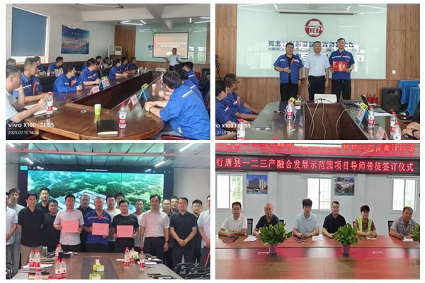三分公司黨總支多措并舉鋪就青年職工成長(cháng)之路